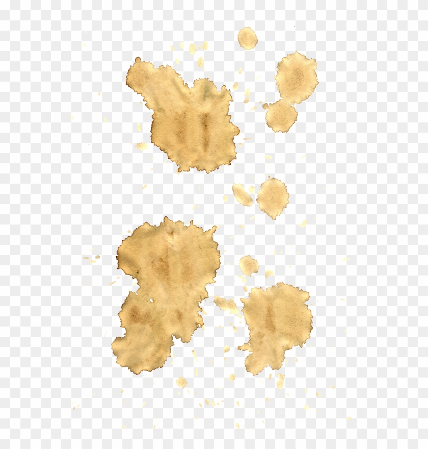 Cofee Stains Png - Stains Png Clipart