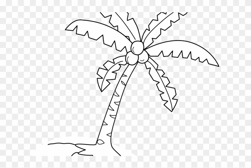 Plant Clipart Coconut Tree - Clip Art - Png Download