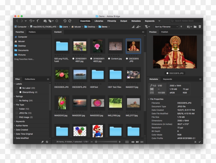 Bridge Interface - Adobe Bridge Clipart
