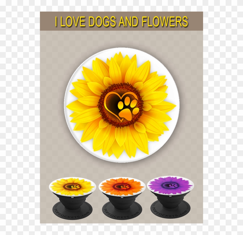Super Cute Pop Socket For Girls That Love Flowers And - Sunflower Clipart