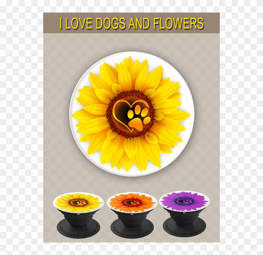 Super Cute Pop Socket For Girls That Love Flowers And - Sunflower Clipart #1111878