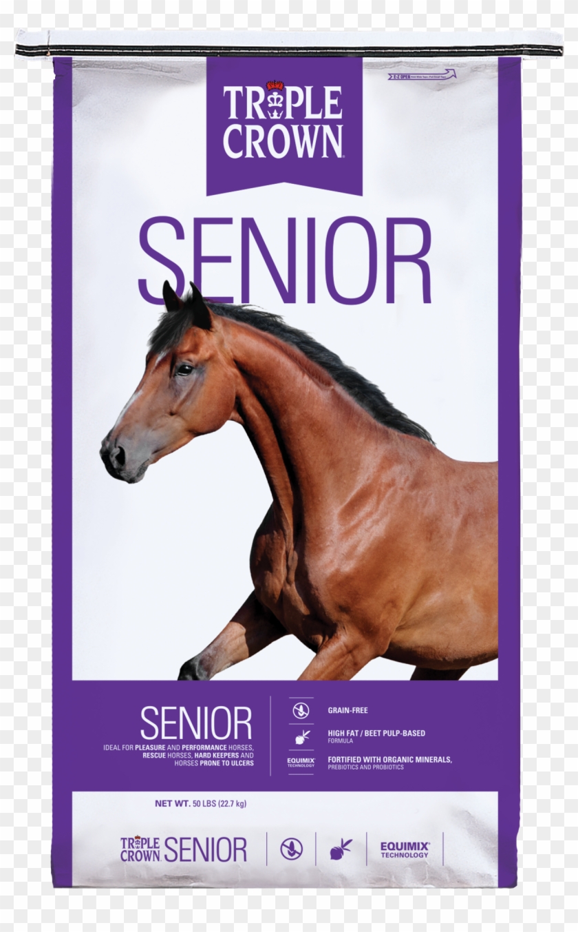 Triple Crown Senior Feed Clipart