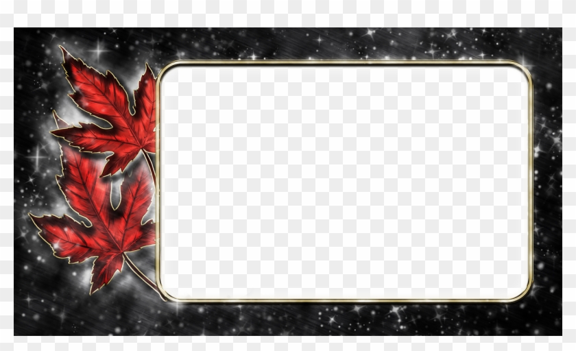 Frame, Photo Frame, Black, Autumn, Leaves, Night Sky - Transparent Frame Autumn Clipart