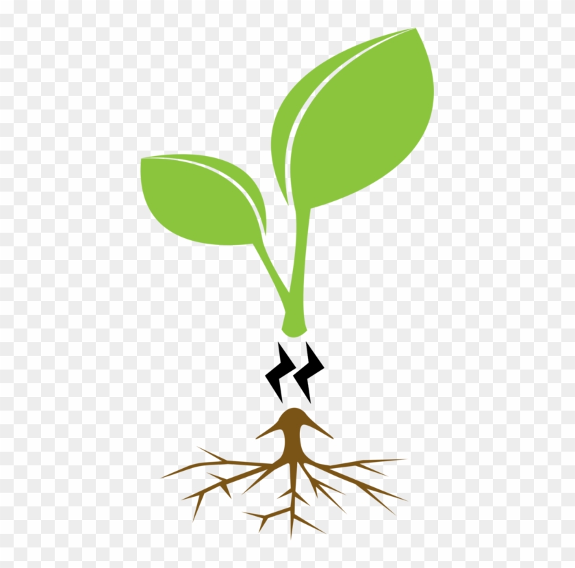 Family Tree Genealogy Generation - Tree Clip Art - Png Download