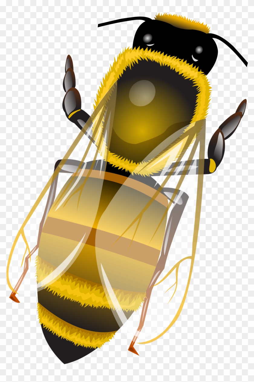 Bee Png Clip Art - Illustration Transparent Png