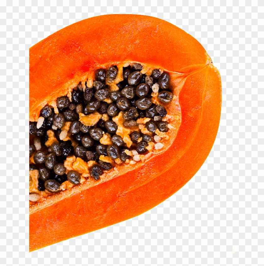 Papaya Clipart