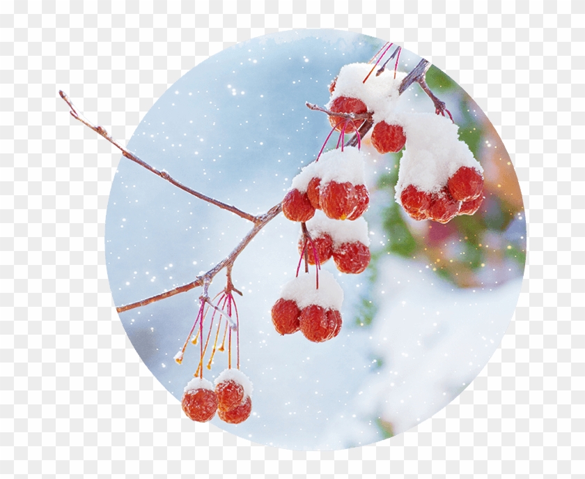 It Often Starts Snowing Early And That Cold Weather - Snow Clipart