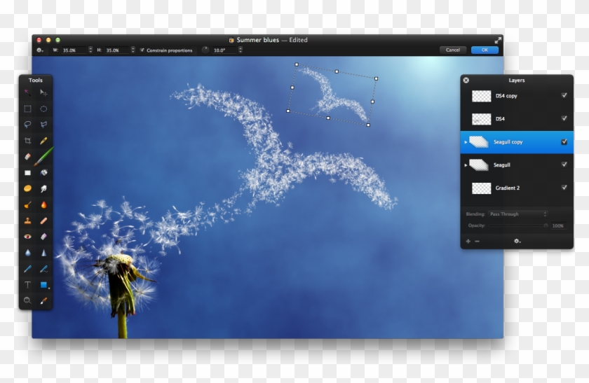 Then, Choose Edit > Transform, Reduce The Size Of The - Herb Clipart
