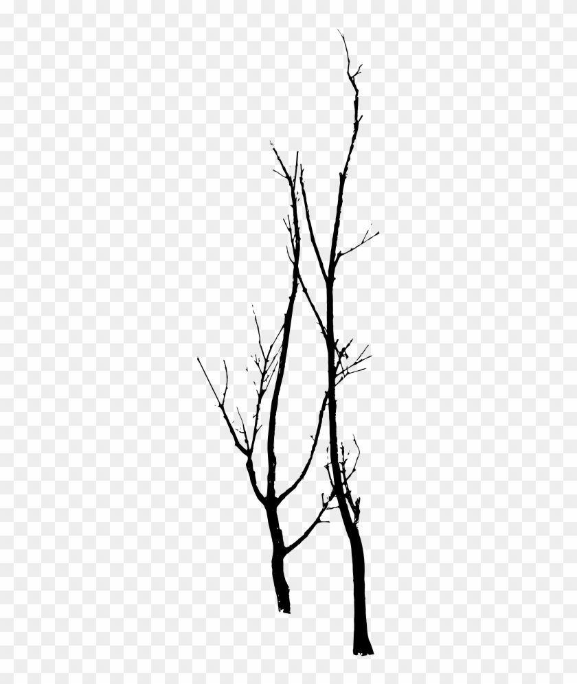 Trees Vector Photoshop Pinterest - Twig Clipart