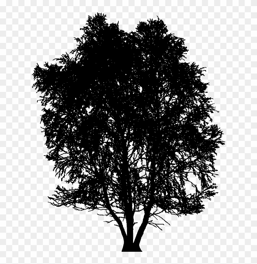 Input Very High Detail Tree Silhouette Clipart #1117949
