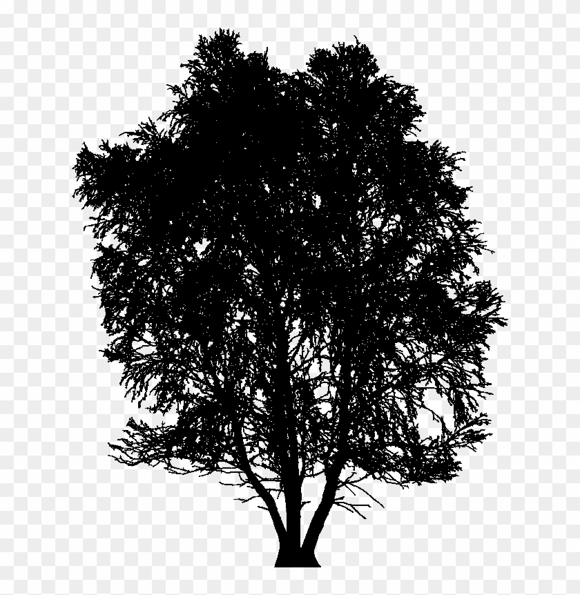 Input Very High Detail Tree Silhouette Clipart