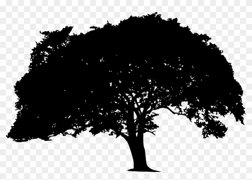 20 Tree Silhouette Vol - Silhouette Clipart