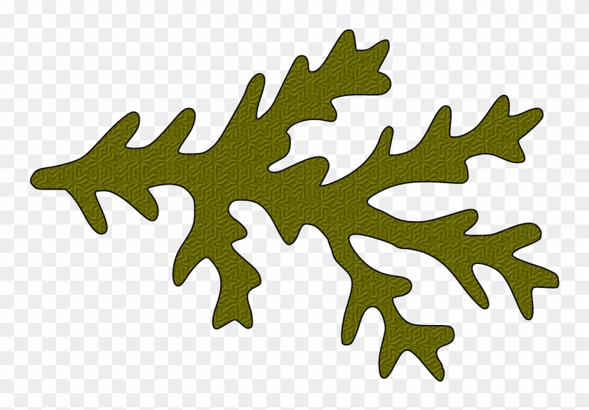 Paper This And That - Pine Branch From Paper Clipart