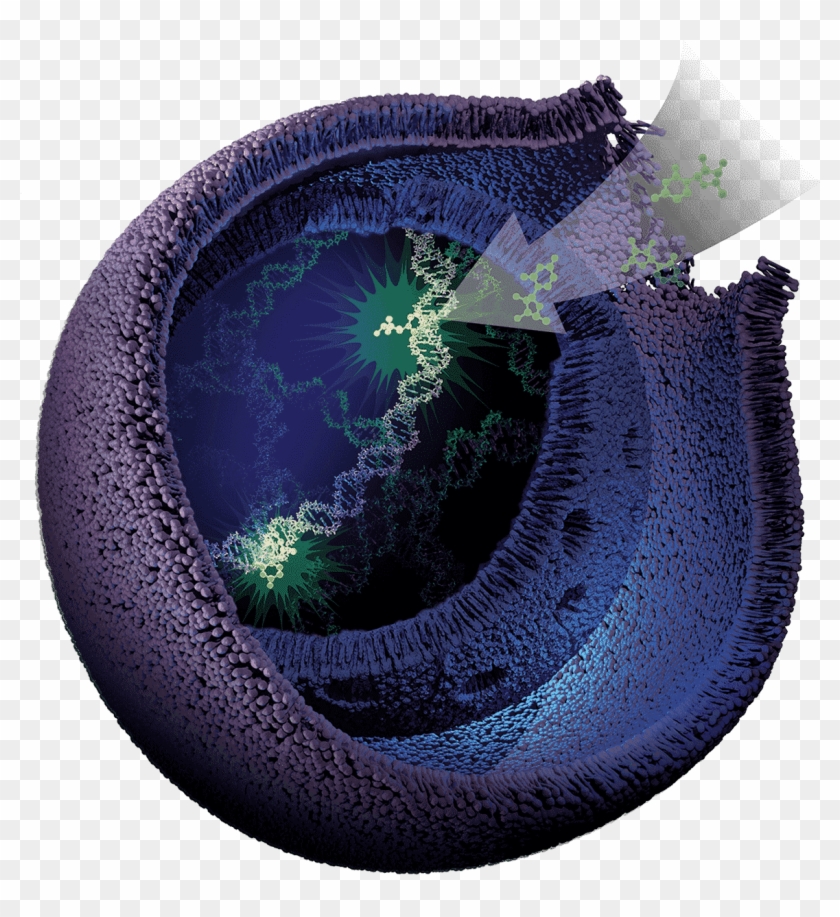 Celltox Green Foreground Image - Circle Clipart