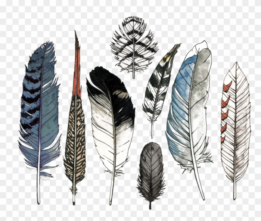 Watercolor Feather Set By Natasha Lawyer From Tattly - Watercolor Feather Clipart #1118666