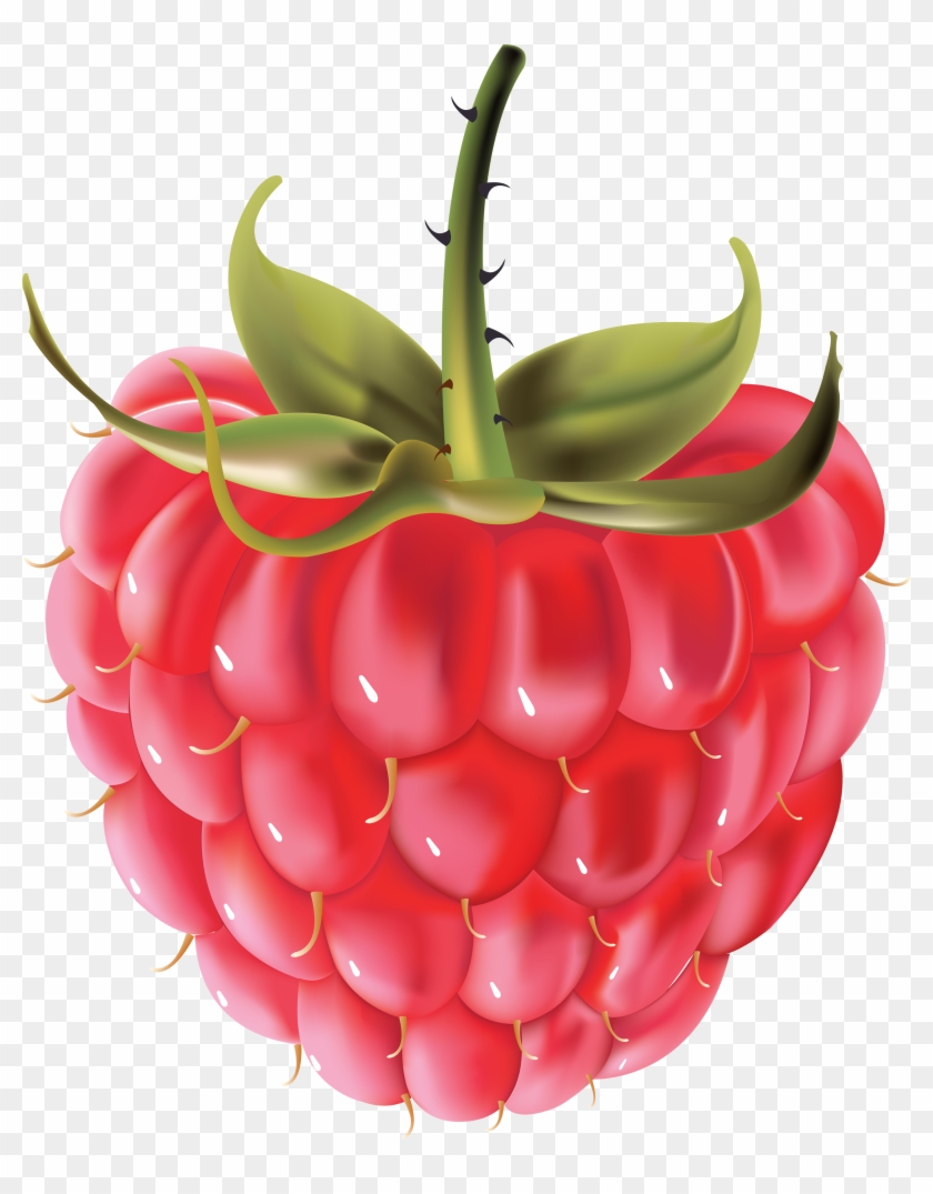 Rraspberry Png Image Clipart