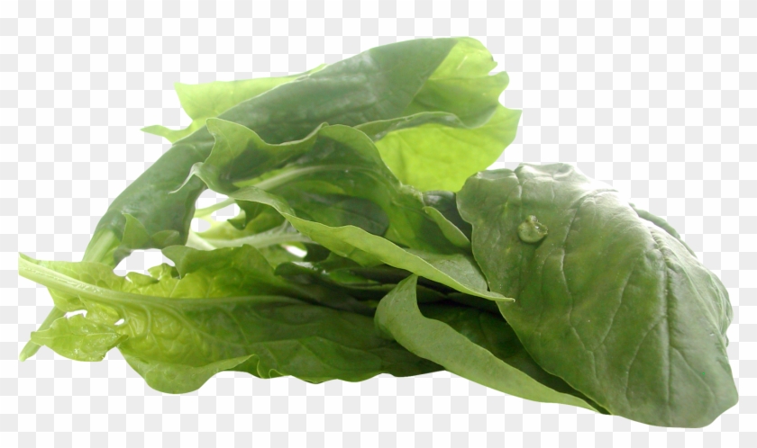 Spinach - Vegan Zinc Clipart #1119103