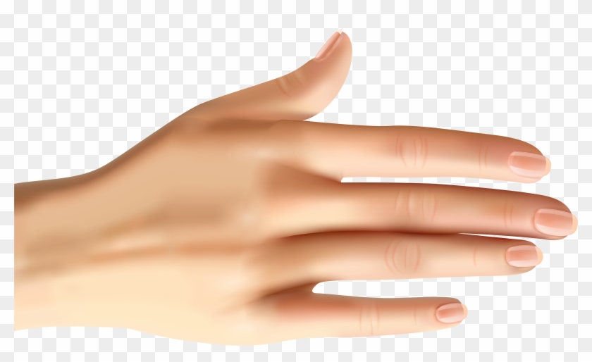 Nails Clipart Hand Skin - Manicure - Png Download