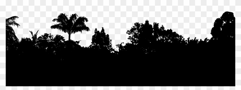 Big Image - Jungle Silhouette Png Clipart #1119162
