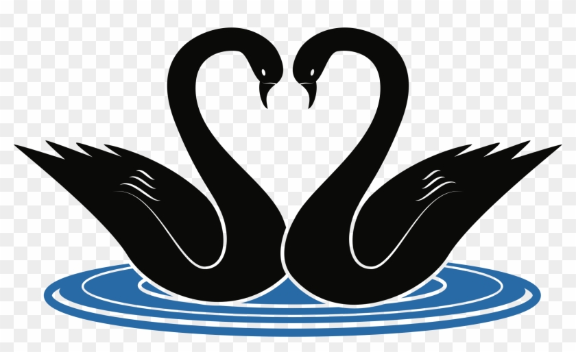 Swans Big Image Png - Clip Art Swans Transparent Png