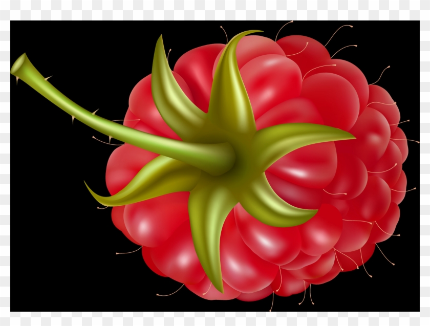Raspberry Clipart #1119350