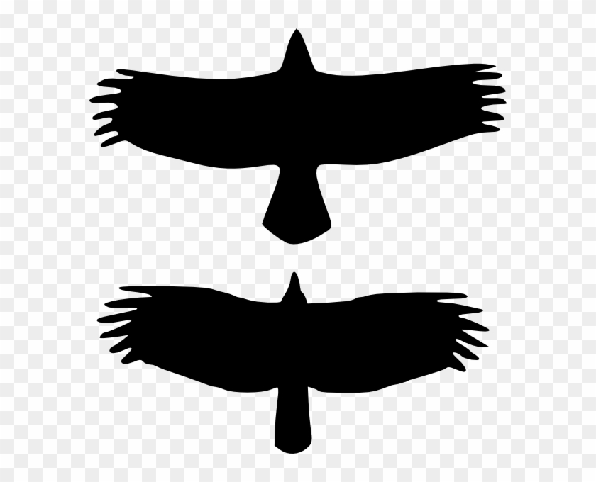 Small - Crow Vs Raven Vs Turkey Vulture Clipart