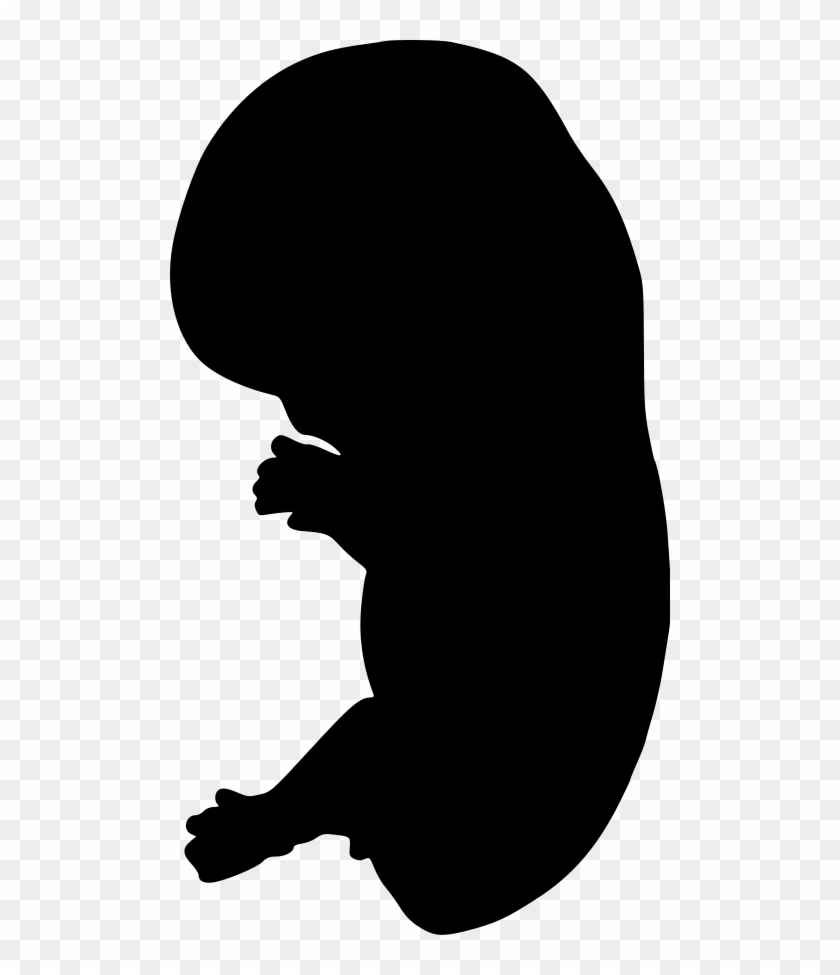 File - Gray63 - Svg - Embryo Silhouette Clipart #1120259