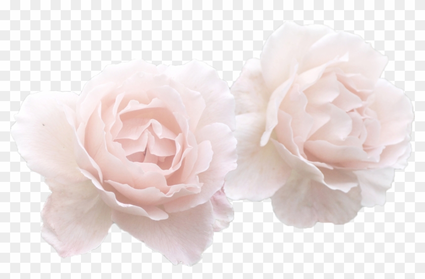 73 Images About Flower Crown Or Other Things - Transparent Pastel Pink Flowers Clipart