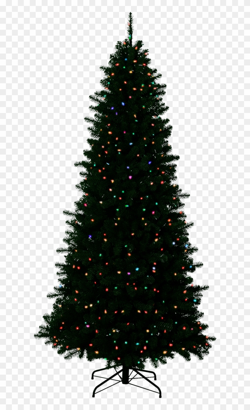 Christmas Outside Transparent Background - Transparent Transparent Background Christmas Tree Png Clipart #1121236