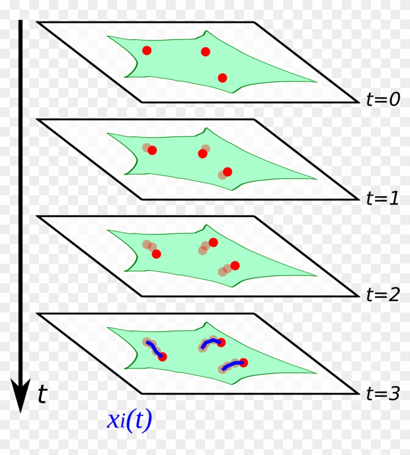 Single-particle Tracking - Parallel Clipart