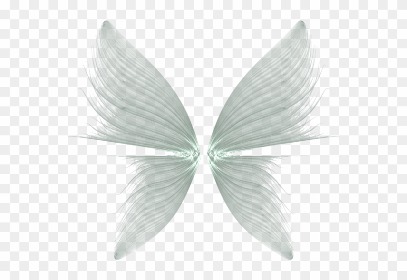 Download Png Image Report - Angel Wing Png Transparent Clipart #1122444