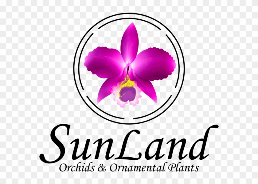 Logo Clipart #1122550