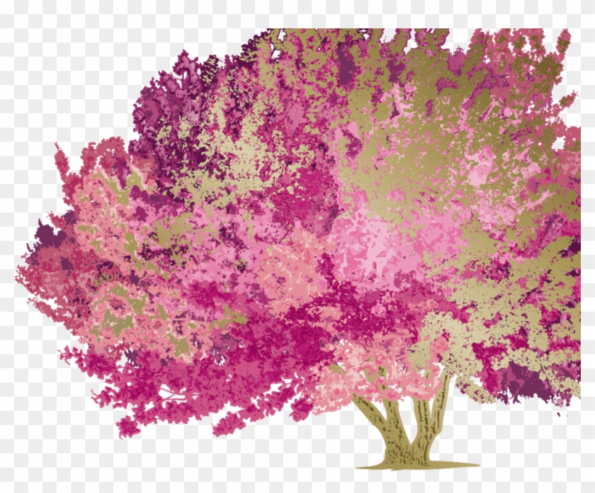 Smoketree Rose Clipart