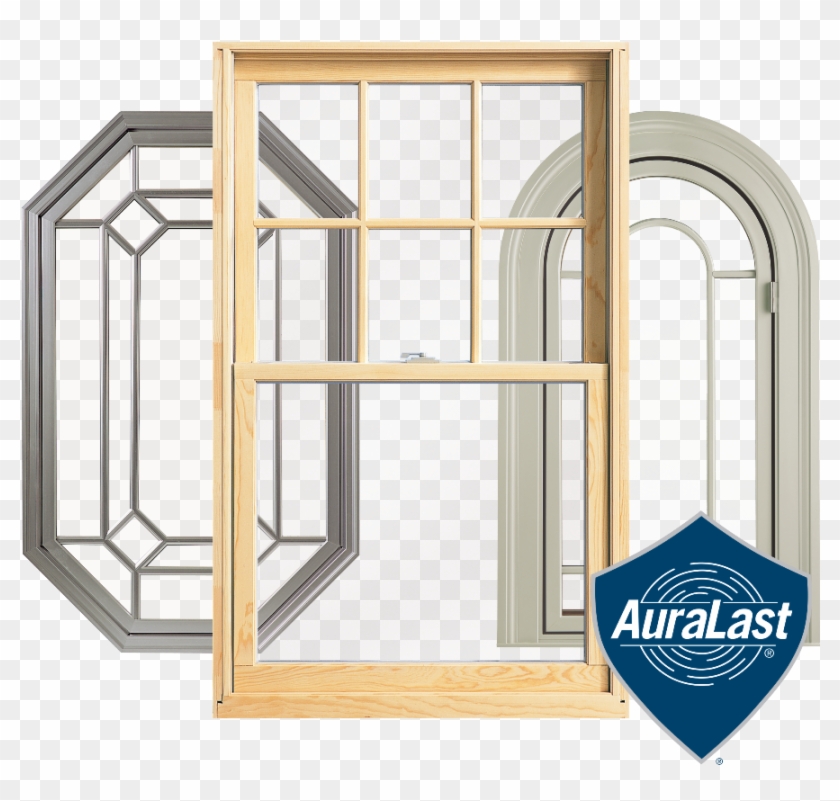 Termites - Wood Exterior Jeld Wen Double Hung Window Clipart #1123787