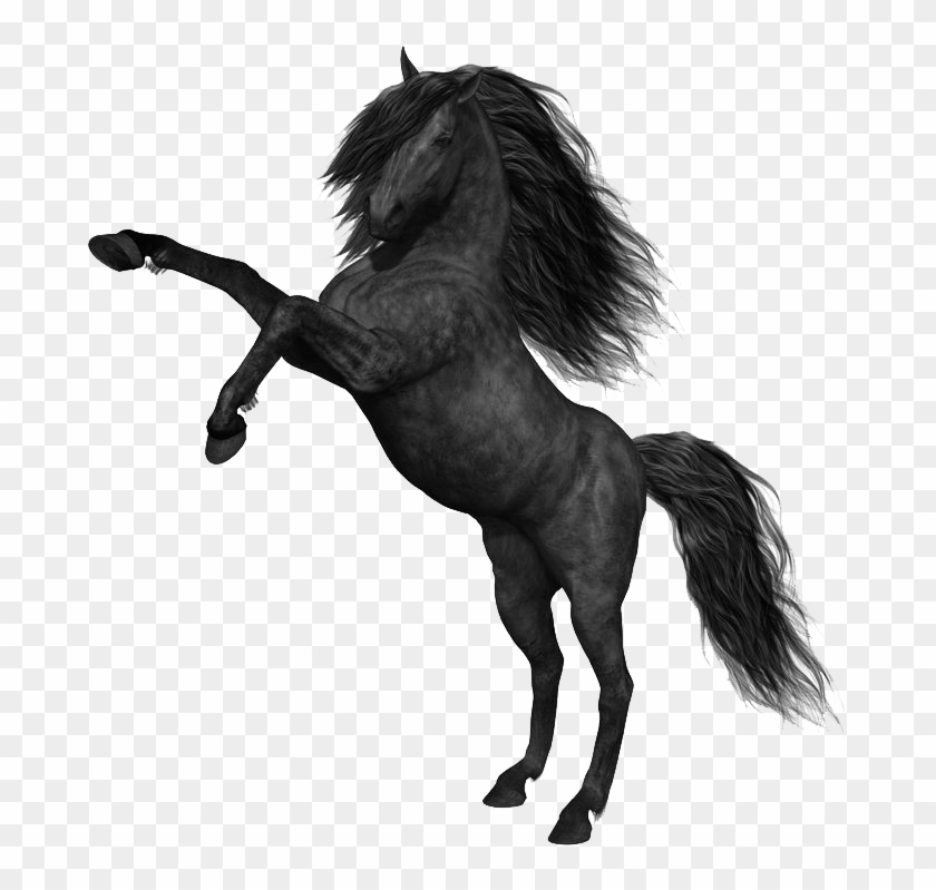 Mustang Horse Png Photos - Black Horse Png Clipart