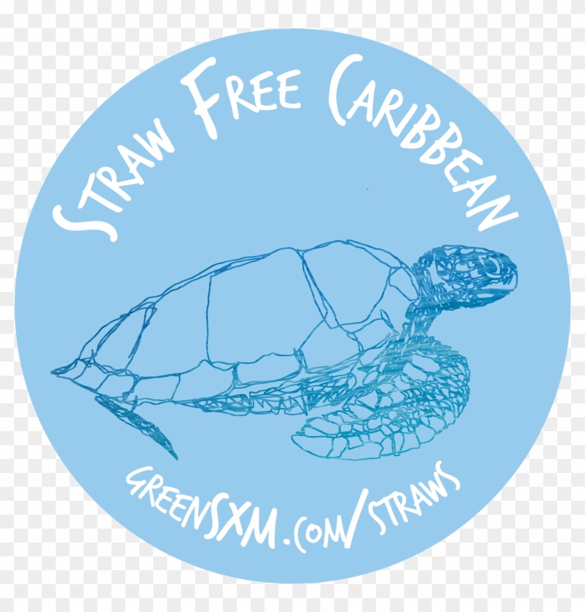 Straw Free Caribbean High Res - Box Turtle Clipart