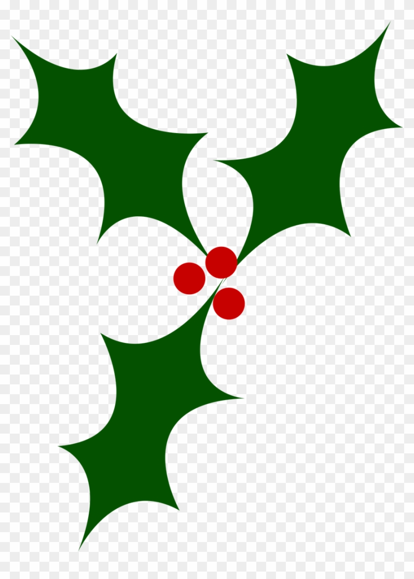 Holly, Christmas Tree, Berry, Christmas, Festivals - Christmas Illustrations Png Clipart #1125984