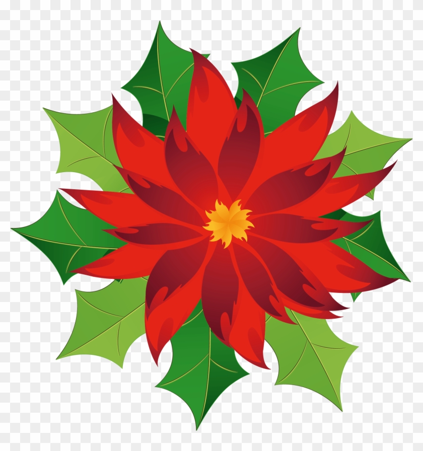 Christmas Holly Poinsettia Poinsetta Terrieasterly - Christmas Poinsettia Clipart - Png Download