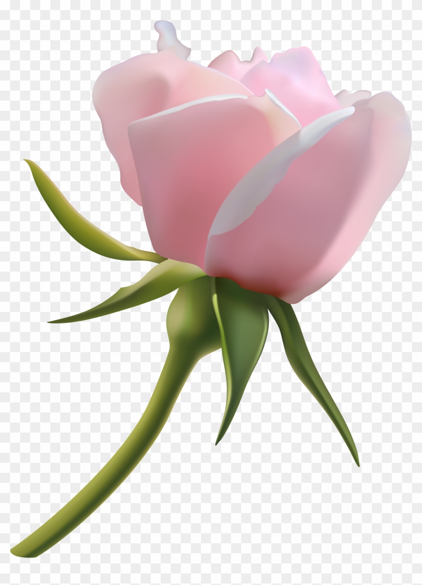 Clipart Roses Rose Bud - Png Download #1126553