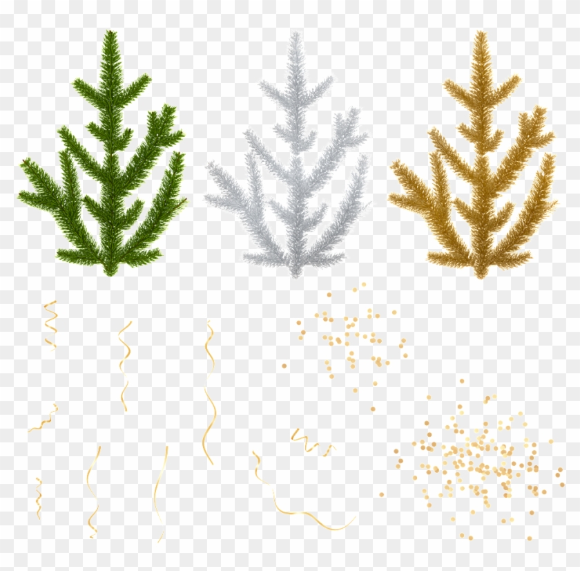 Creative Color Small Tree Transparent - Shortleaf Black Spruce Clipart #1126905