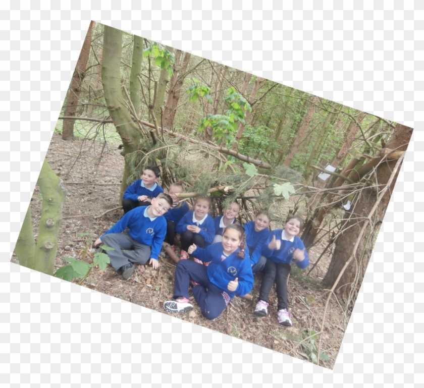 Geneva Woods Adventure - Crew Clipart #1127021