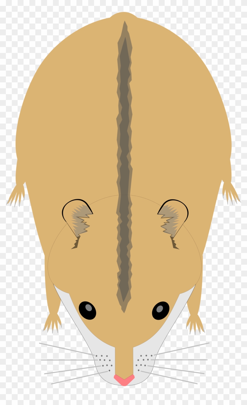Open - Rat Clipart