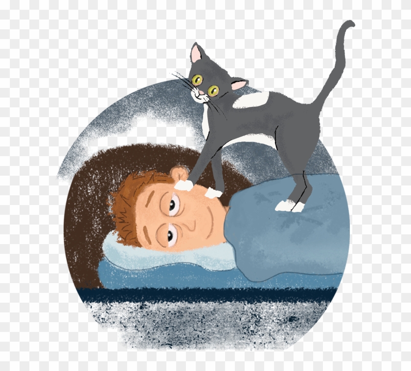 Hillarys - Cartoon Clipart #1127213