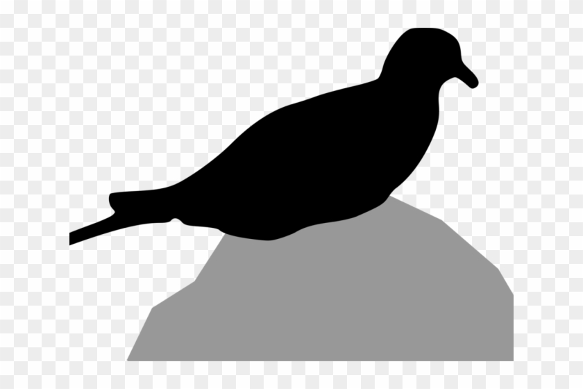 Turtle Dove Clipart Transparent Background - Pigeons And Doves - Png Download #1128235