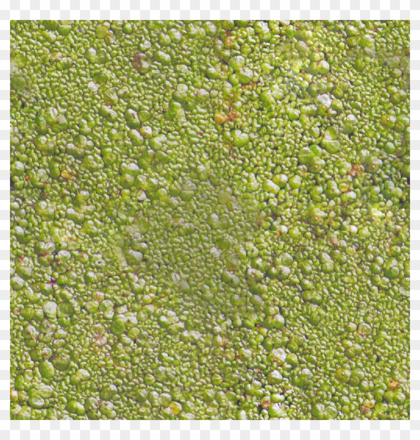 8 - Seamless Terrain Textures Clipart