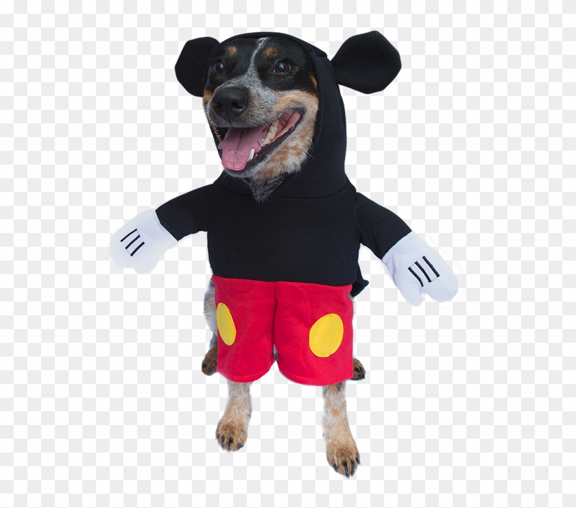 Buzz Lightyear Dog Costume Dog Costumes Clothes Pet - Mickey Dog Costume Clipart #1129178