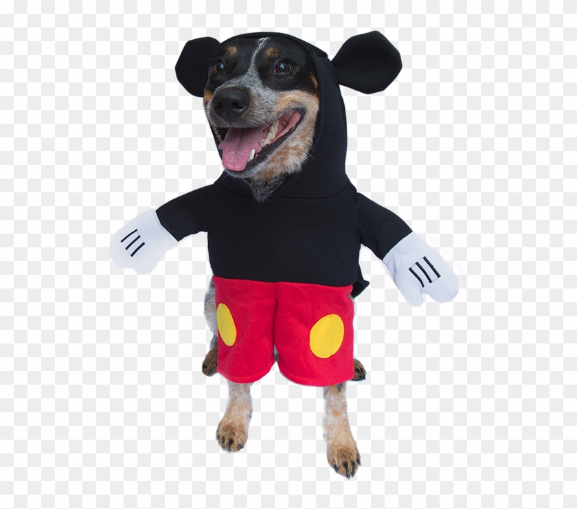 Buzz Lightyear Dog Costume Dog Costumes Clothes Pet - Mickey Dog Costume Clipart