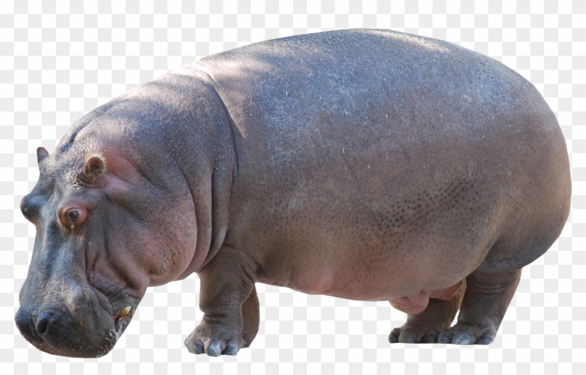 Standing Png Image Purepng Transparent Background Clipart #1129215