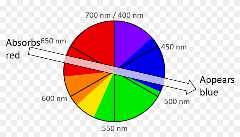A Color Wheel Accurately Representing The Wavelength - Rueda De Colores Y Longitudes De Onda Clipart #1130075