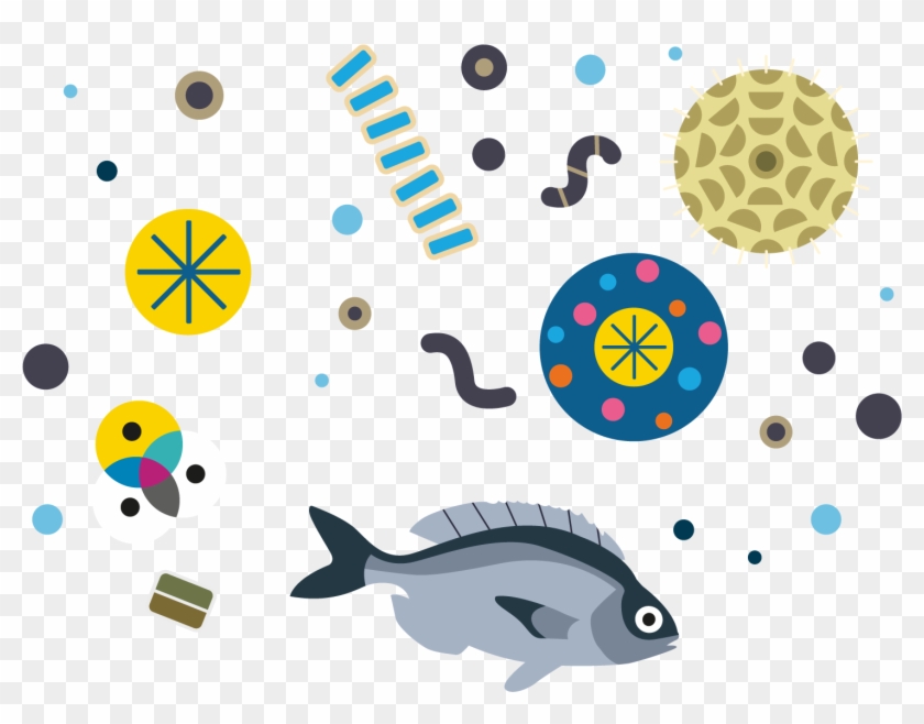 Fish And Plankton Illustration - Pomacentridae Clipart
